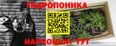 каннабис Новозыбков